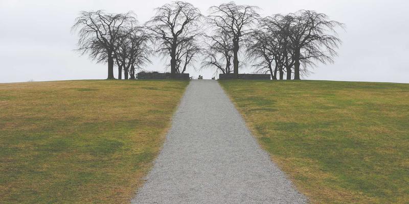从《无人深空》到《深海迷航》：单机游戏如何将地质奇观升华为震撼心灵的混沌艺术