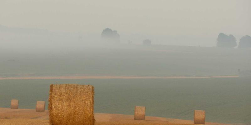 从混沌到瑰宝:手游中矿物生长算法的奥秘与玩家社区的生态构建