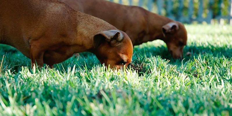 像素重生:为何复古游戏与重制版在蒸汽波浪潮中征服新一代玩家?