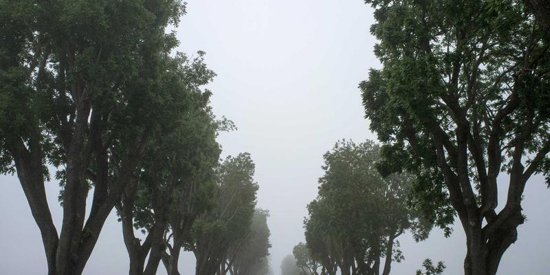 地壳为棋盘，资源即王权：动态地质系统如何重塑MMO游戏的战略格局与联盟生态