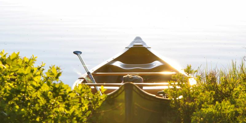 当AI地质学家玩《混沌大地》:机器学习如何重塑游戏地形生成的艺术