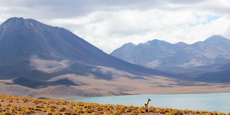 当岩石拥有生命:《混沌大地》如何用算法让地质变迁在游戏中真实上演