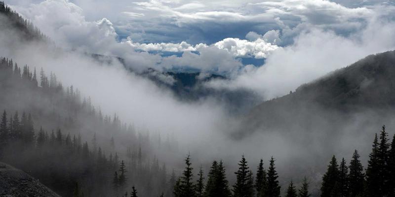 混沌大地：从像素到生态，揭秘游戏世界如何模拟真实演替逻辑