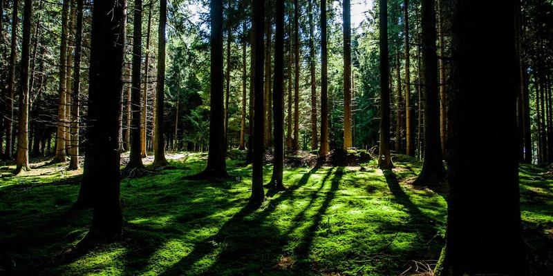《混沌大地》如何用真实热力学打造游戏世界?从岩浆房到间歇泉的硬核模拟