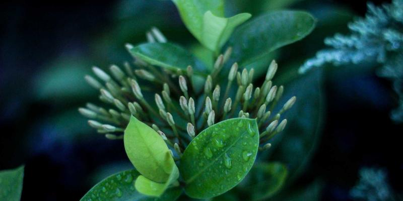 百万年板块运动如何秒懂？《混沌大地》地质时间压缩算法全解析与速通攻略